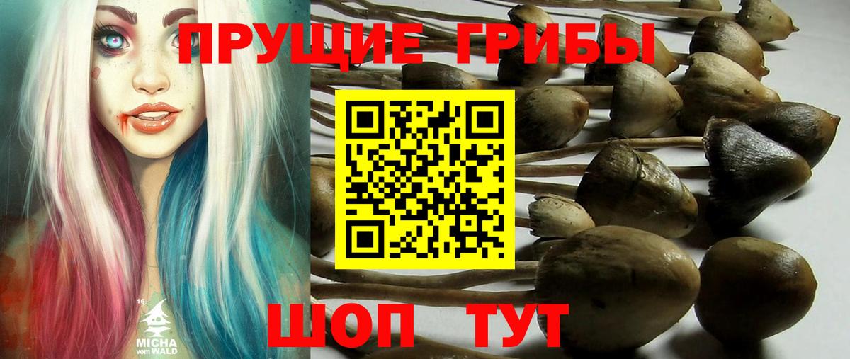 Красноперекопск  Псилоцибиновые грибы Magic Shrooms  Вход с VPN 