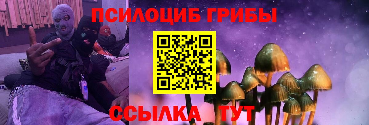 Галлюциногенные грибы GOLDEN TEACHER Красноперекопск